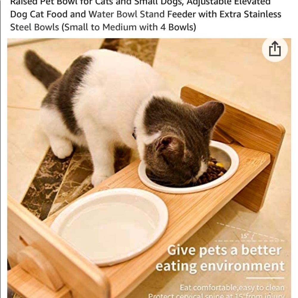 Small dog platform feeder - Picture 1 of 14